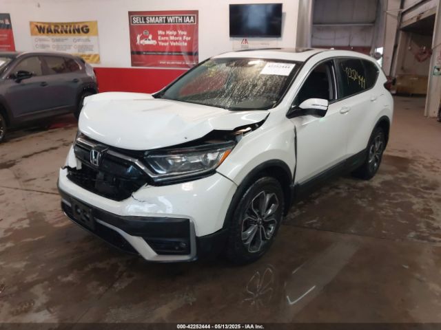 2020 HONDA CR-V 5J6RW1H54LL012869 Photo 1