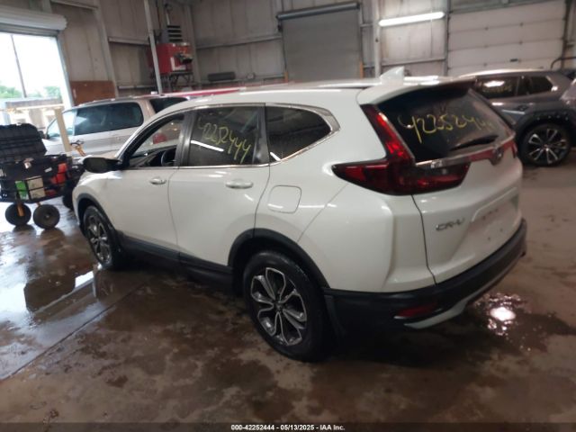 2020 HONDA CR-V 5J6RW1H54LL012869 Photo 2
