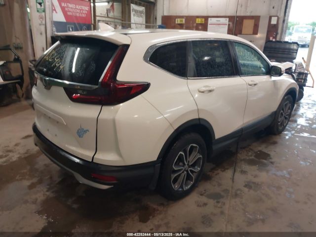 2020 HONDA CR-V 5J6RW1H54LL012869 Photo 3