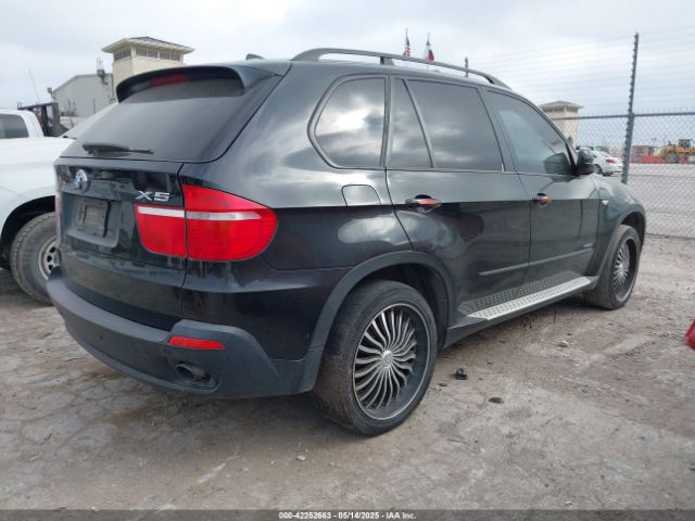 2010 BMW X5 5UXFE4C5XAL385267 Photo 3