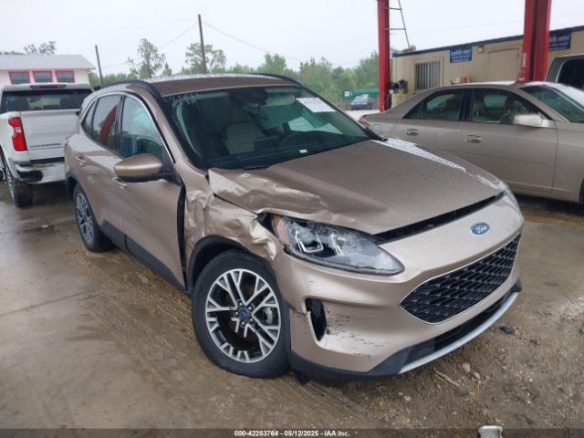 2020 FORD ESCAPE 1FMCU0H64LUB89853