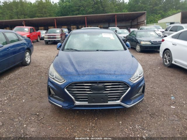 5NPE24AF7JH697147 Hyundai SONATA SE