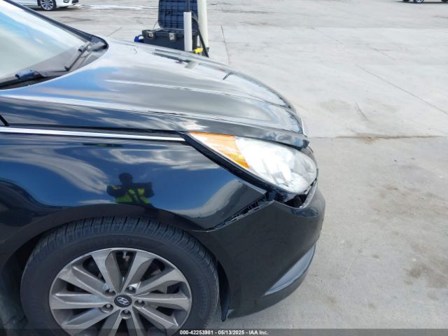 5NPEC4AC4EH813204 Hyundai Sonata Limited