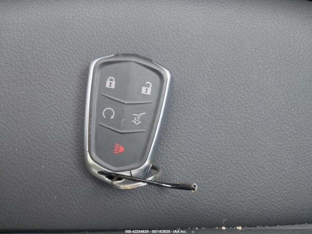 2024 CADILLAC XT6 1GYKPAR41RZ734634 Photo 10