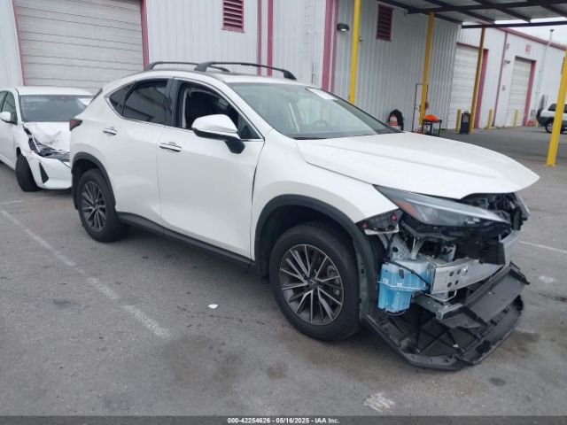 2025 LEXUS NX 250 JTJADCAZ0S2016372