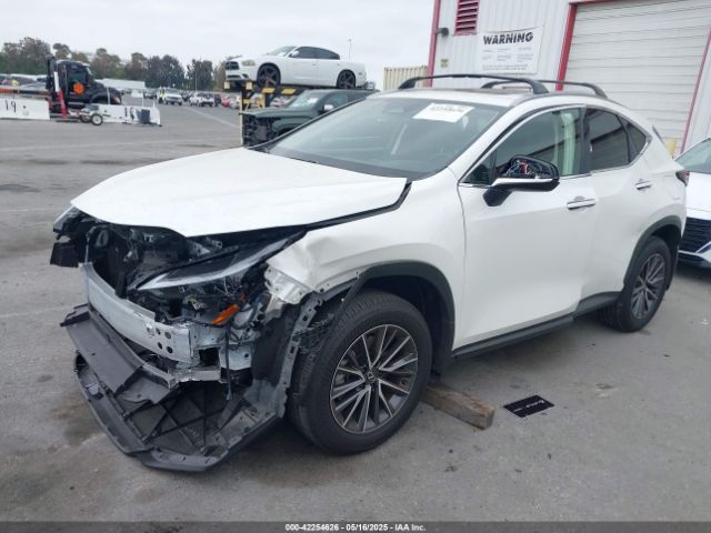 2025 LEXUS NX 250 JTJADCAZ0S2016372 Photo 1