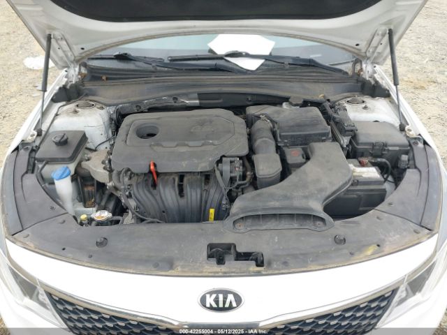5XXGU4L33GG085831 KIA OPTIMA EX