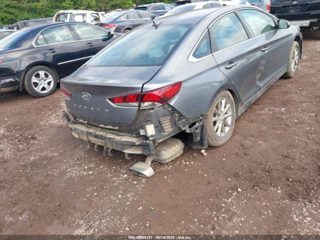 5NPE24AF0JH641955 Hyundai SONATA SE