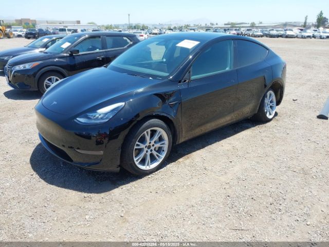 2023 TESLA MODEL Y 7SAYGDEE6PA033798 Photo 1