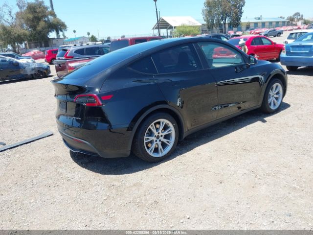 2023 TESLA MODEL Y 7SAYGDEE6PA033798 Photo 3