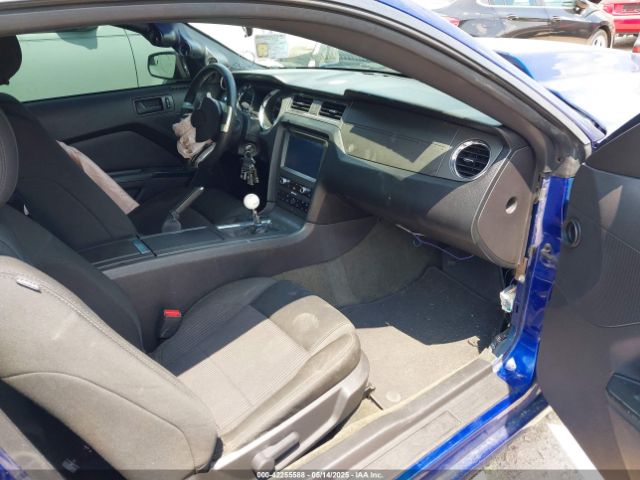 1ZVBP8CFXE5235368 Ford MUSTANG GT