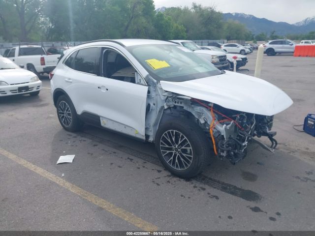 2023 FORD ESCAPE 1FMCU0E16PUA43310