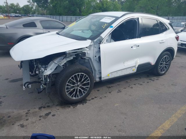 2023 FORD ESCAPE 1FMCU0E16PUA43310 Photo 1