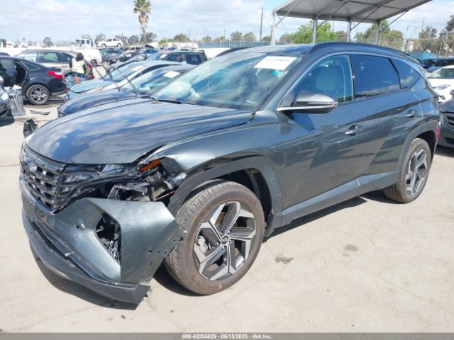 5NMJECAE1NH113416 Hyundai Tucson Limited