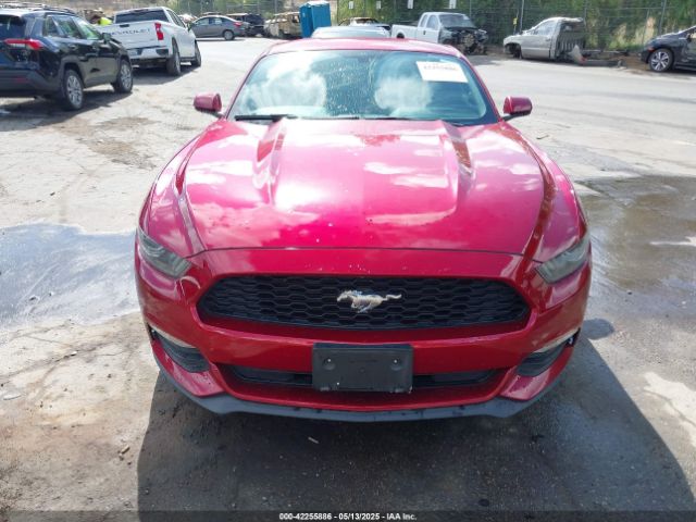 1FA6P8AM1F5338840 Ford 2015