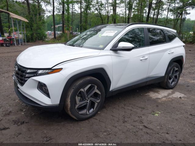 2022 HYUNDAI TUCSON HYBRID KM8JFCA12NU060272 Photo 1