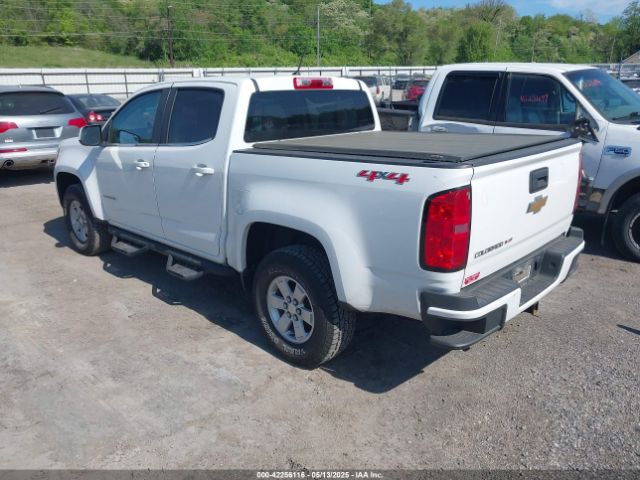 1GCGTBEN4L1227194 Chevrolet Colorado 4wd  Short Box Wt