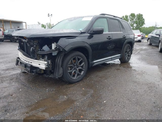 2023 HONDA PILOT 5FNYG1H89PB030270 Photo 1