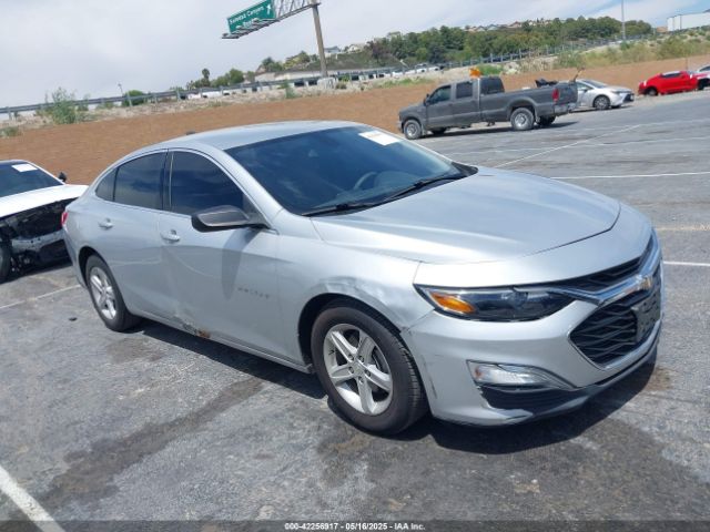 2019 CHEVROLET MALIBU 1G1ZB5ST6KF145767