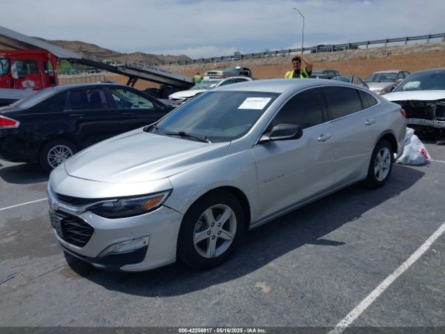 2019 CHEVROLET MALIBU 1G1ZB5ST6KF145767 Photo 1