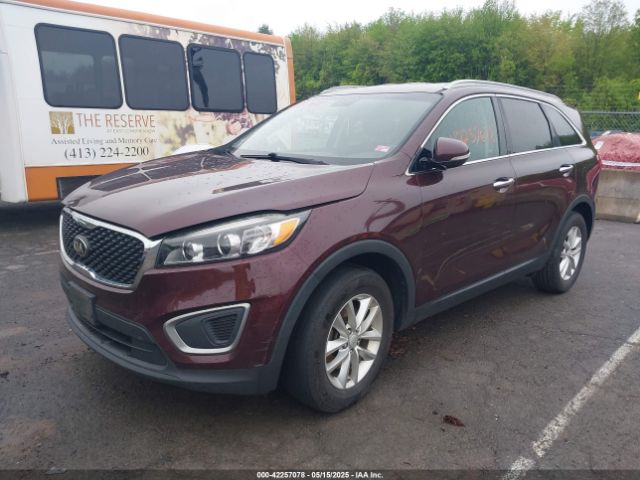 5XYPG4A3XGG122511 KIA Sorento 2.4l Lx