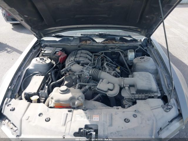 1ZVBP8AM3E5230899 Ford Mustang V6 Premium