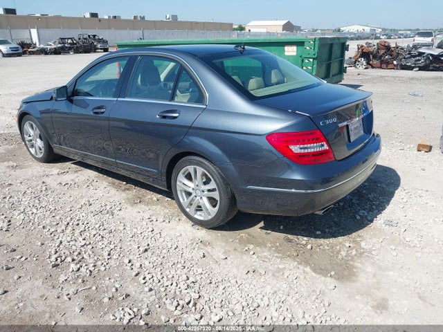 WDDGF8AB4EG225196 Mercedes-Benz 2014