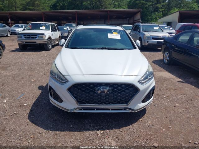 5NPE34AFXJH680310 Hyundai Sonata Sport