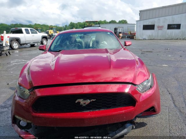 1FA6P8TH7H5295141 Ford Mustang Ecoboost