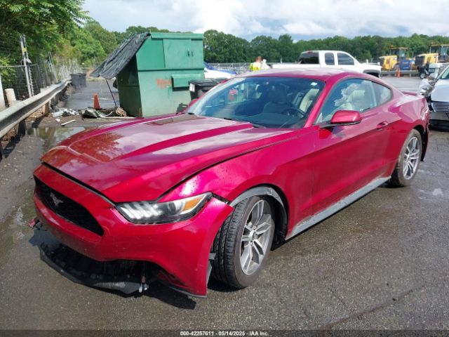 1FA6P8TH7H5295141 Ford Mustang Ecoboost