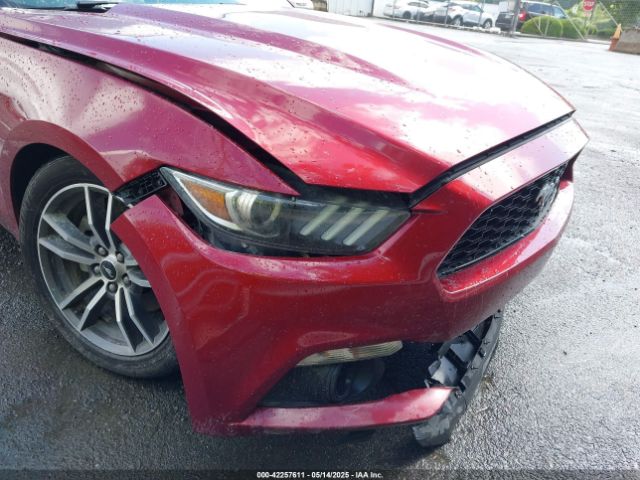 1FA6P8TH7H5295141 Ford Mustang Ecoboost