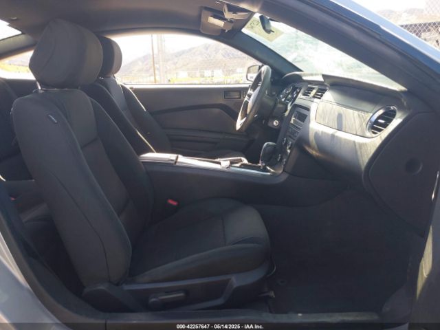 1ZVBP8AM9E5236092 Ford Mustang V6