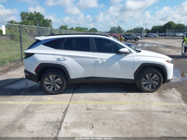 KM8JBCA1XNU015625 Hyundai Tucson Hybrid Blue