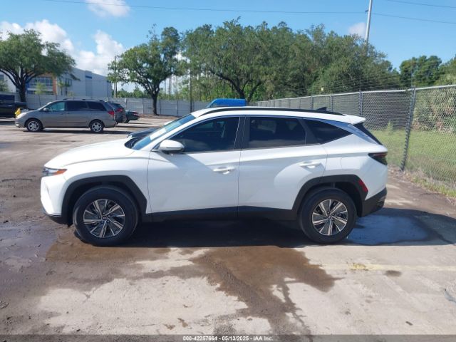 KM8JBCA1XNU015625 Hyundai Tucson Hybrid Blue