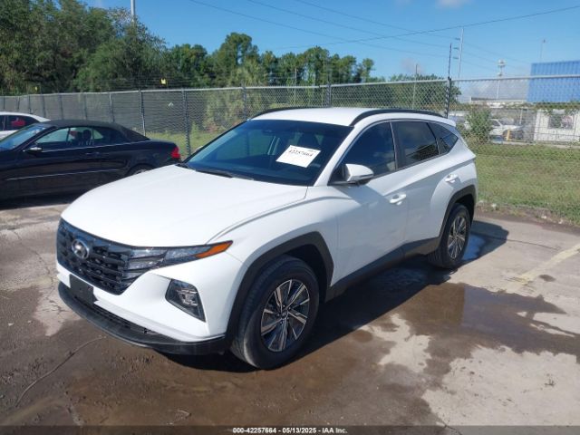 KM8JBCA1XNU015625 Hyundai Tucson Hybrid Blue
