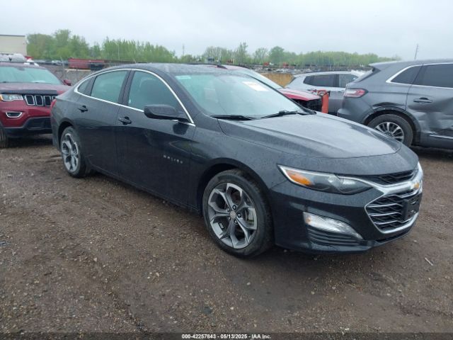 1G1ZD5ST6PF229203 auction archive image