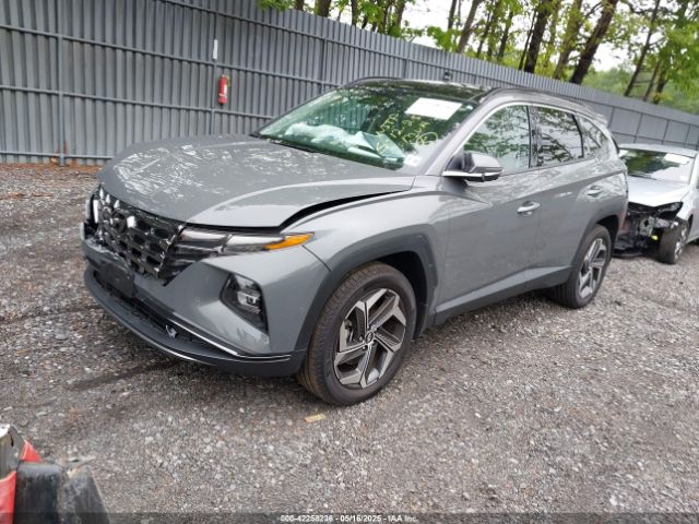 2024 HYUNDAI TUCSON 5NMJECDE0RH419167 Photo 1