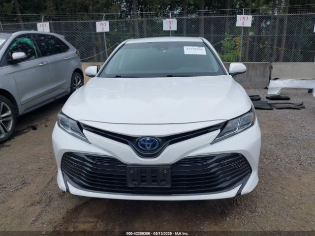 4T1C31AK7LU018157 Toyota Camry Le Hybrid