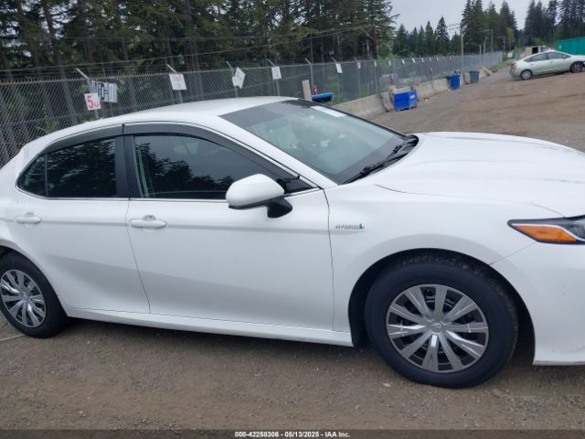 4T1C31AK7LU018157 Toyota Camry Le Hybrid
