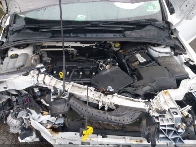 1FADP3K29GL354594 Ford FOCUS SE