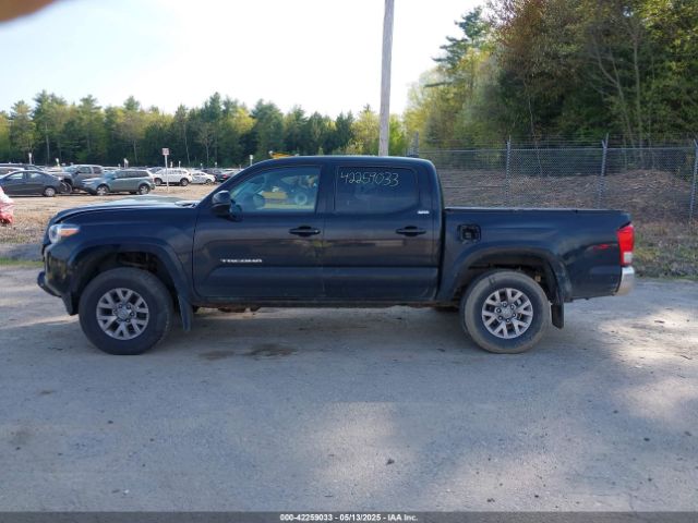 3TMCZ5AN9GM012309 Toyota Tacoma Sr5 V6
