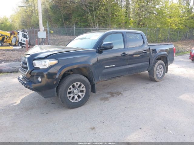 3TMCZ5AN9GM012309 Toyota Tacoma Sr5 V6