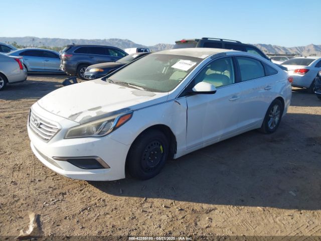 5NPE24AF1GH392123 Hyundai SONATA SE