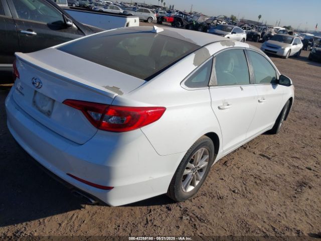 5NPE24AF1GH392123 Hyundai SONATA SE