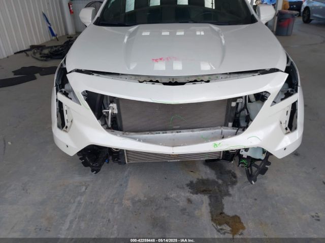 2019 CADILLAC XT4 1GYFZCR49KF142039 Photo 5