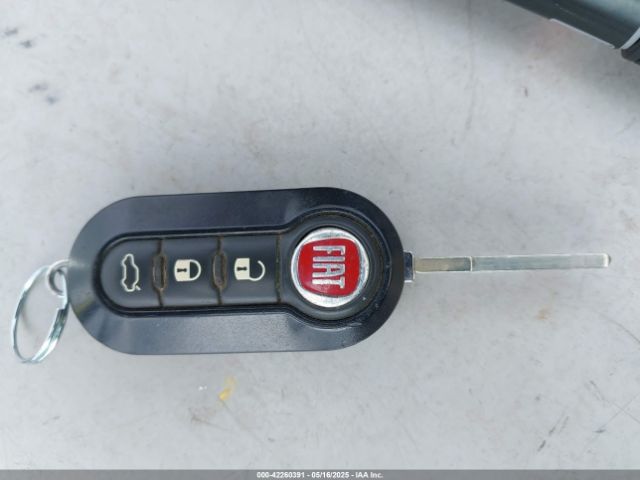 2015 FIAT 500E 3C3CFFGE1FT503214 Photo 10