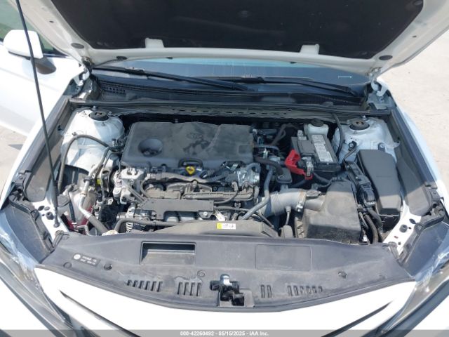 4T1T11AK4MU617198 Toyota CAMRY SE
