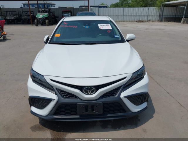 4T1T11AK4MU617198 Toyota CAMRY SE