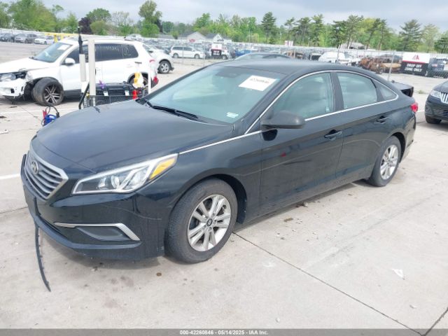 5NPE24AF9HH548023 Hyundai Sonata