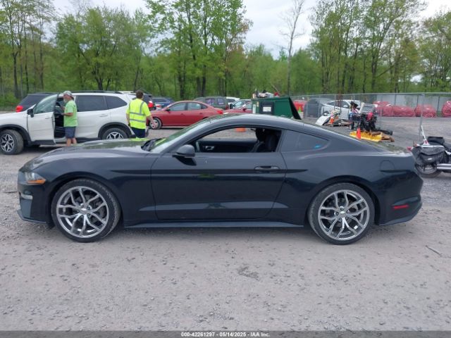 1FA6P8TH8K5129816 Ford Mustang Ecoboost
